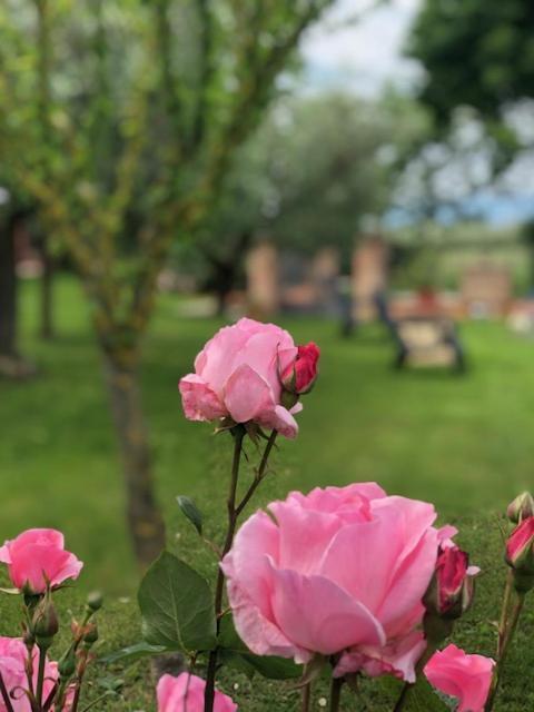 Апартаменты Il Giardino Delle Rose Спелло Экстерьер фото